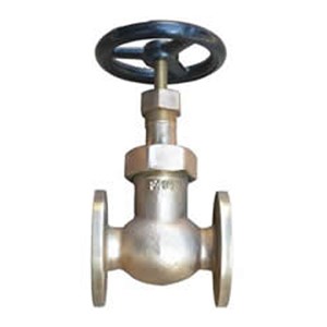 JIS 7346 Globe Valve, Cast Bronze BC6, 25A, 5K, 1 Inch, FF
