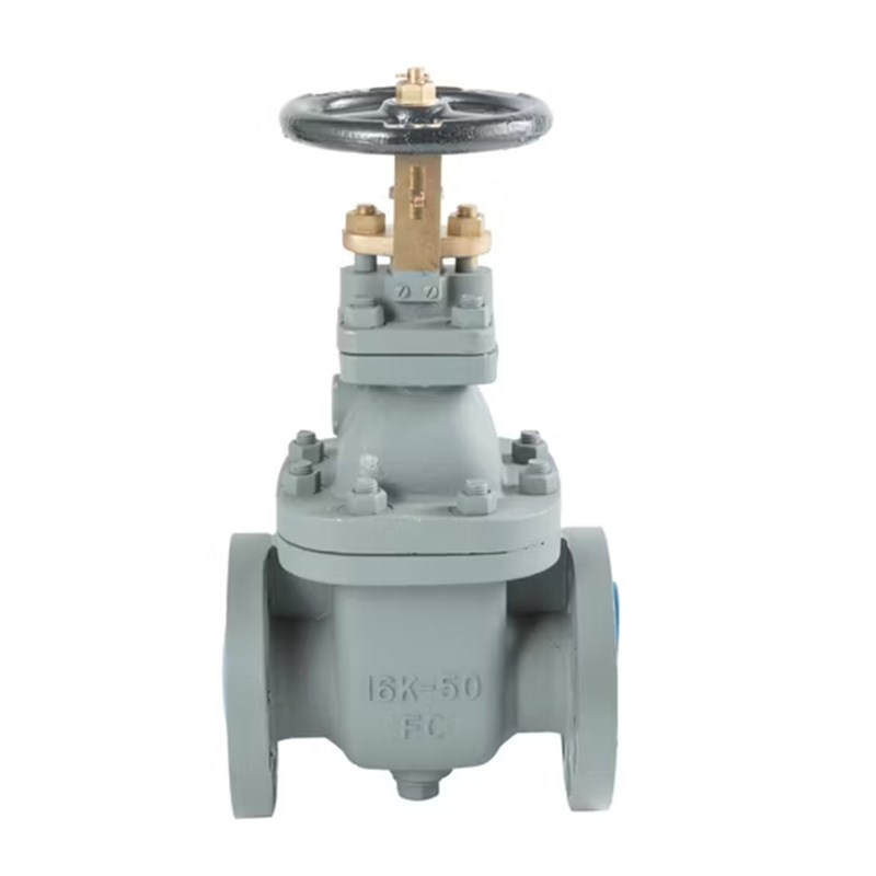 JIS F7364 Marine Gate Valve, Cast Iron, F200, 16K, 50A, 2 IN