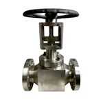 MONEL K400 Globe Valve, API 602, 2 Inch, 300 LB, RF Flanged
