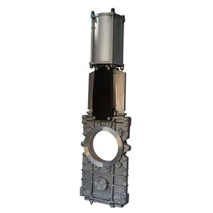 O-Port Knife Gate Valve, A351 CF8, 12 IN, CL150, Pneumatic