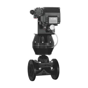 Pneumatic Diaphragm Control Valve, CS, DI, SS, 3/4-16 Inches
