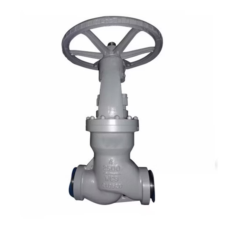 Pressure Seal Bonnet Globe Valve, BS 1873, A217 WC9, 4 Inch