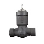 Pressure Seal Lift Check Valve, API 602, A105N, 3/4 IN, CL2500