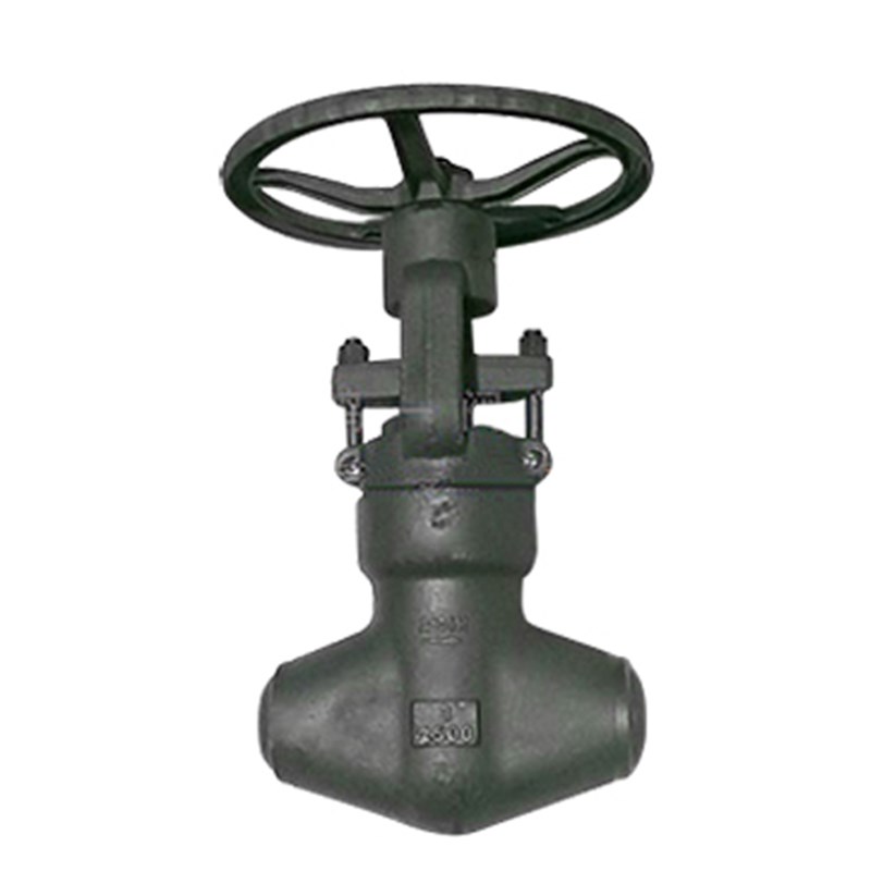 Pressure Sealed Globe Valve, API 602, ASTM A105N, SW, 1 IN, CL2600