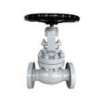 Reduced Port Globe Valve, BS 1873, A216 WCB, 2 IN, 600 LB, RF