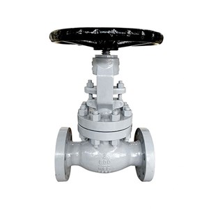 Reduced Port Globe Valve, BS 1873, A216 WCB, 2 IN, 600 LB, RF