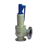 Safety Valve with Radiator, API 526, A216 WCB, DN100, PN16