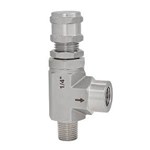 Stainless Steel Safety Valve, ASTM A182 F304, 1/4 IN, CL150
