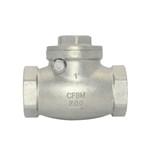 Stainless Steel Swing Check Valve, CF8M, 1 IN, 200 WOG, BSPT