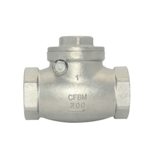 Stainless Steel Swing Check Valve, CF8M, 1 IN, 200 WOG, BSPT