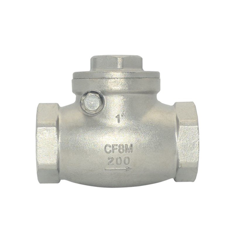 Stainless Steel Swing Check Valve, CF8M, 1 IN, 200 WOG, BSPT