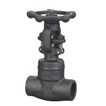 Welded Bonnet Gate Valve, API 602, ASTM A105, 3/4 IN, 800 LB