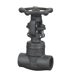 Welded Bonnet Gate Valve, API 602, ASTM A105, 3/4 IN, 800 LB