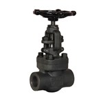 Welded Bonnet Gate Valves, API 602, A105N, 1 Inch, 800 LB