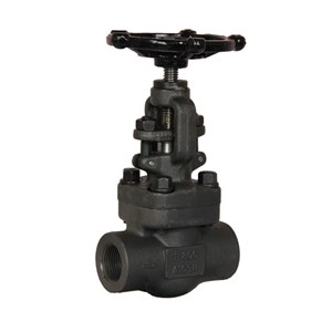 Welded Bonnet Gate Valves, API 602, A105N, 1 Inch, 800 LB