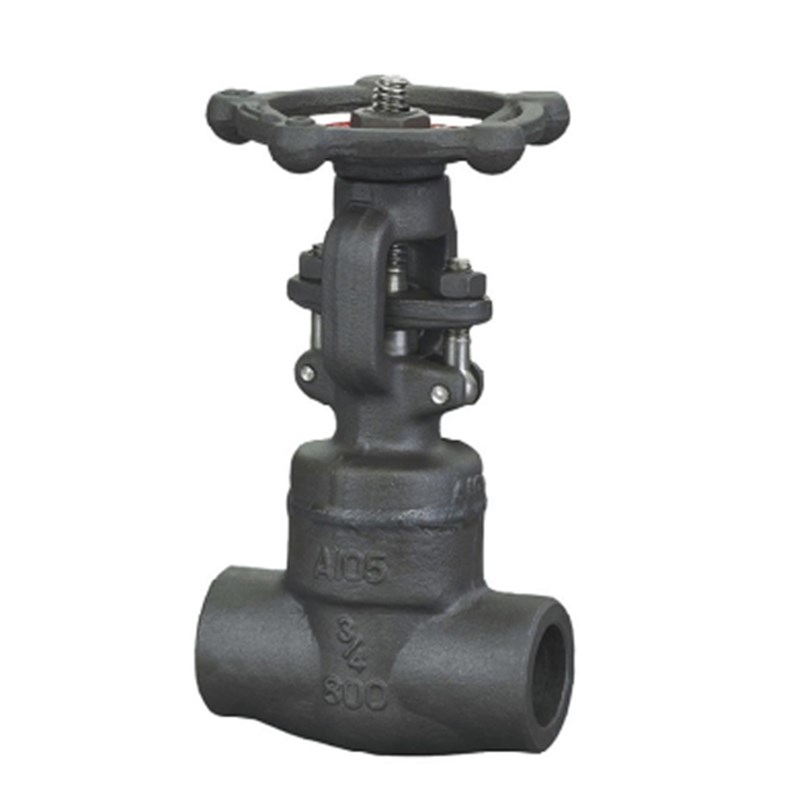 Welded Bonnet Globe Valve, API 602, ASTM A105, 3/4 IN, CL800