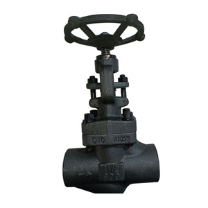 Welded Bonnet Globe Valves, API 602, A105N, 1-1/2 IN, CL300, SW