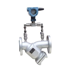 Y Strainer with Pressure Gauge, A351 CF8, 4 Inch, 300 LB, RF